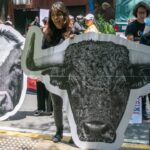 Comisión Sesiónica El 14 de Marzo Sobre la Propuesta de Clara Brugada Para Modificar Las Corridas de Toros en la Cdmx