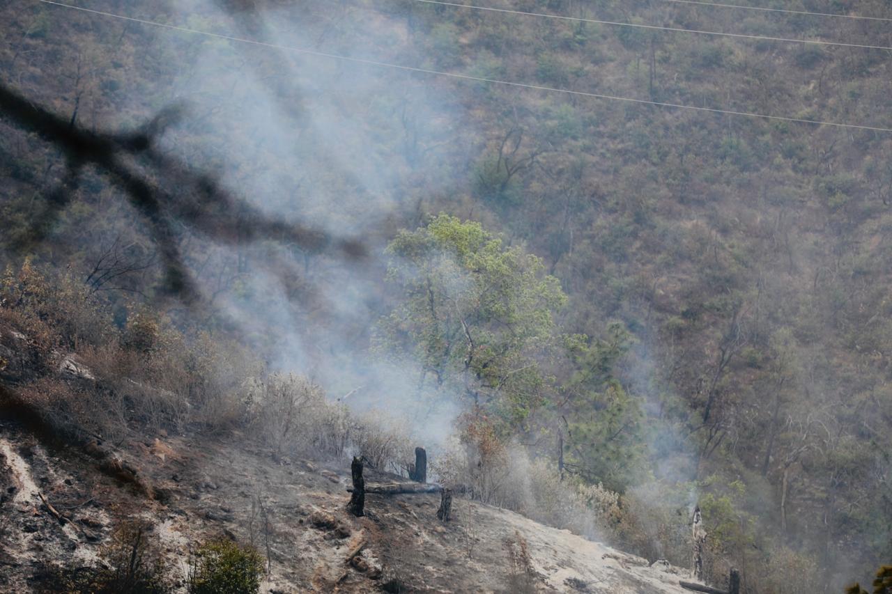 Excursión Termina en Tragedia en Nuevo León: 12 Muertos en Carretera A Cola de Caballo