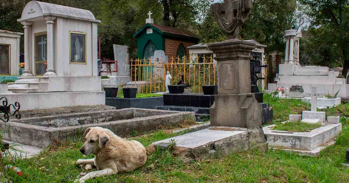 Exhumarán fosas comunes en el Panteón de dolores para identificar posibles desaparecidos