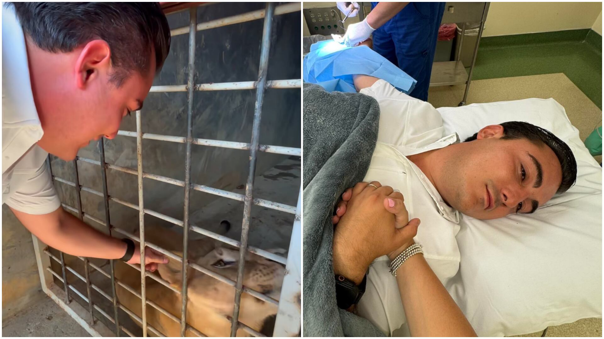 Te Pasas Simba: Alcaldía de García, NL, Rescata Leones Cachorros y Uno le Muerde el Dedo al Alcalde