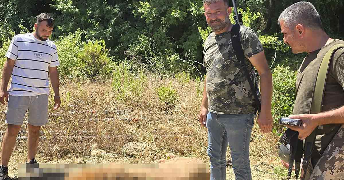 Abaten a León Tras atacar una persona una persona una persona y lo exhiben como trofeo | Fotos