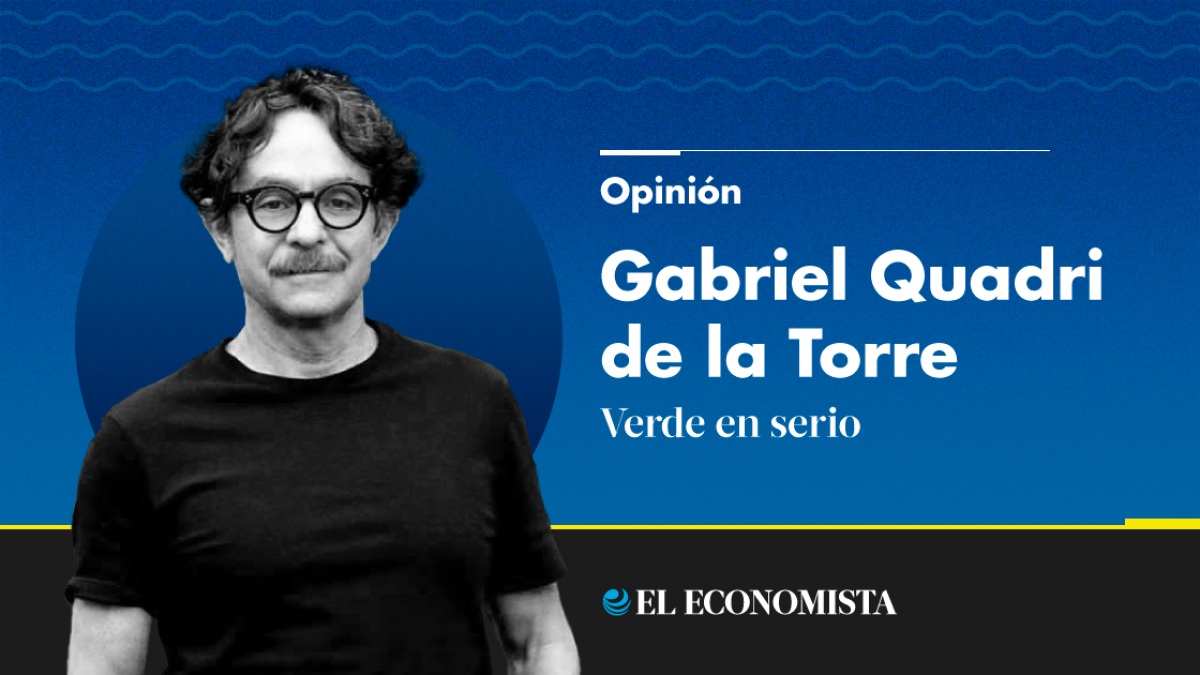 Roma y Condesa, Gentrificación O Decadencia