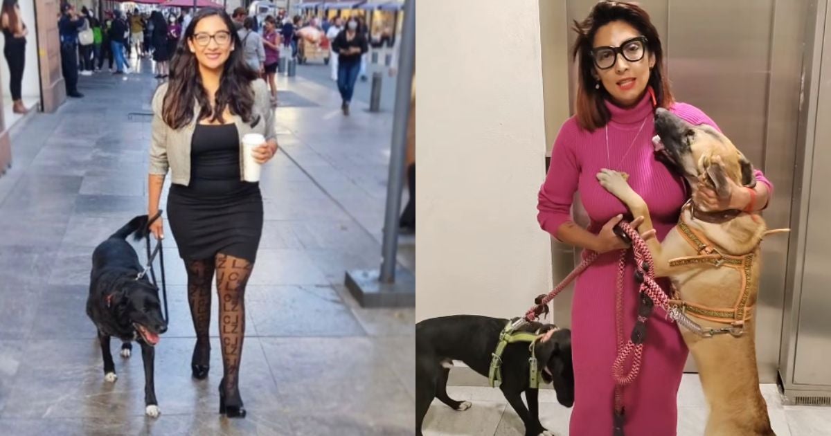 PAOT INVESTIGA A DIRECTA DE AGATAN POR TENER SIETE PERROS EN DEFICISO DE CDMX