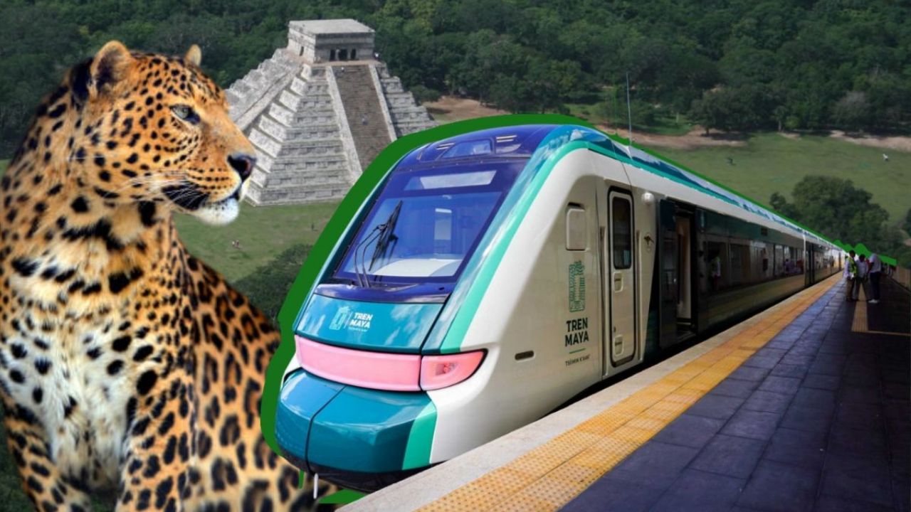 Tren Maya Presenta Nueva Rutas y Paquetes Turíssticos para El Verano: Costos y Fechas