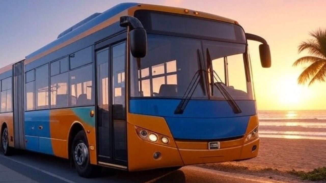 Marinabús: ¿Dónde Operará El Nueva Transporte Público de la Marina? Así será la ruta