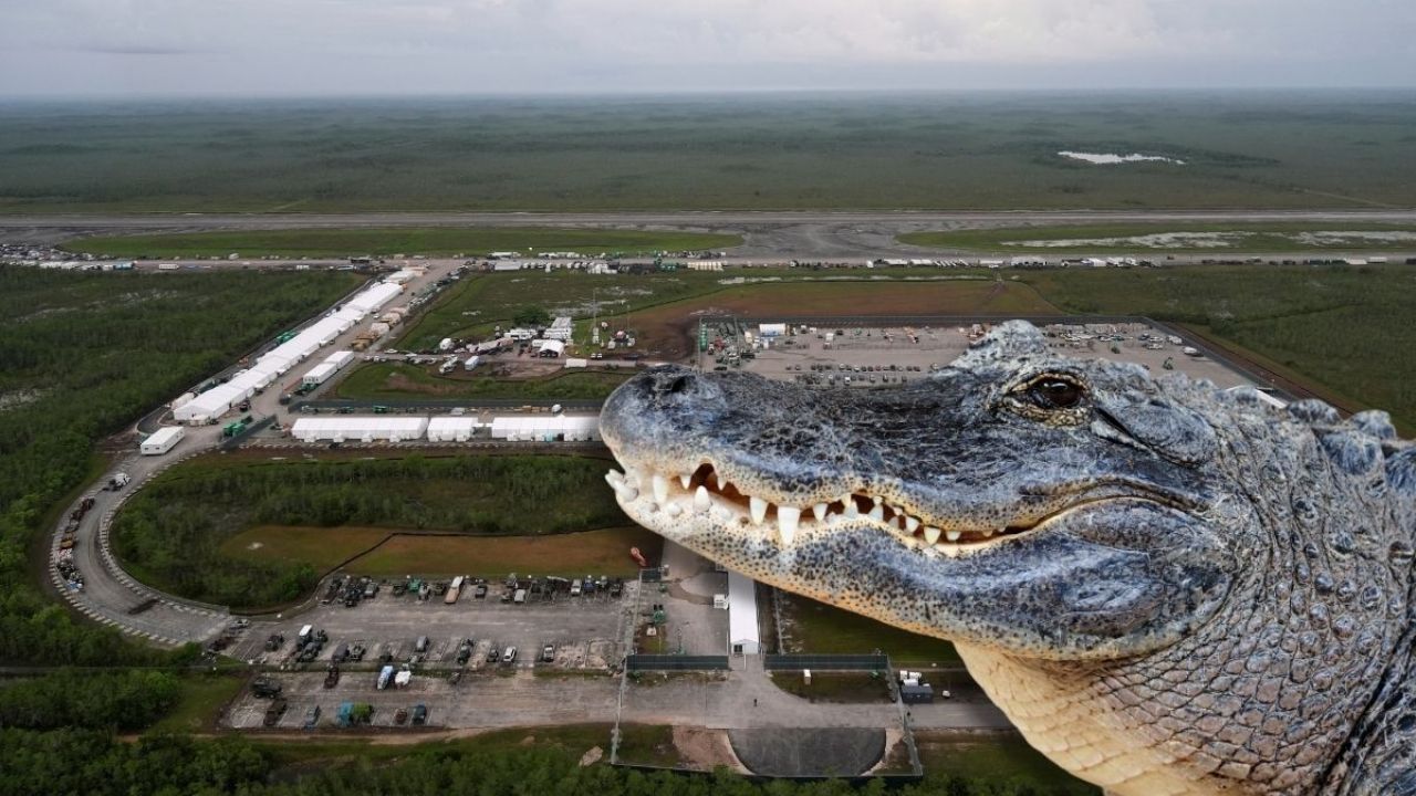Ordenan Cierre de Alligator Alcatraz, El Centro de Detenencia Migatoria de Trump: Jueza Fija Plazo de 60 Días