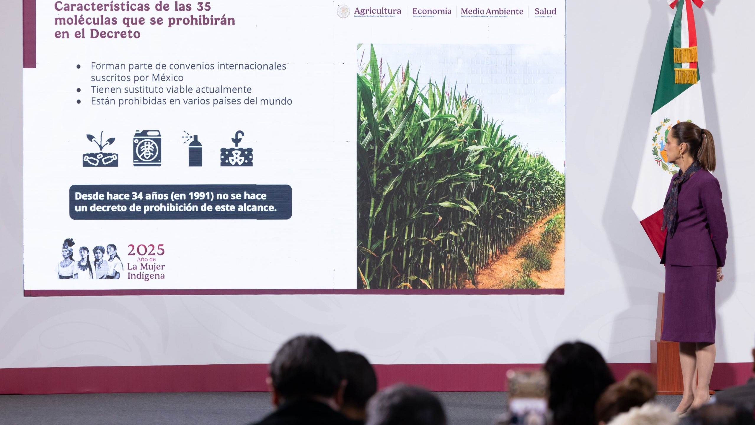 Nuevos Plaguicidas Prohibidos en México: Gobierno Revela ListA y Motivos