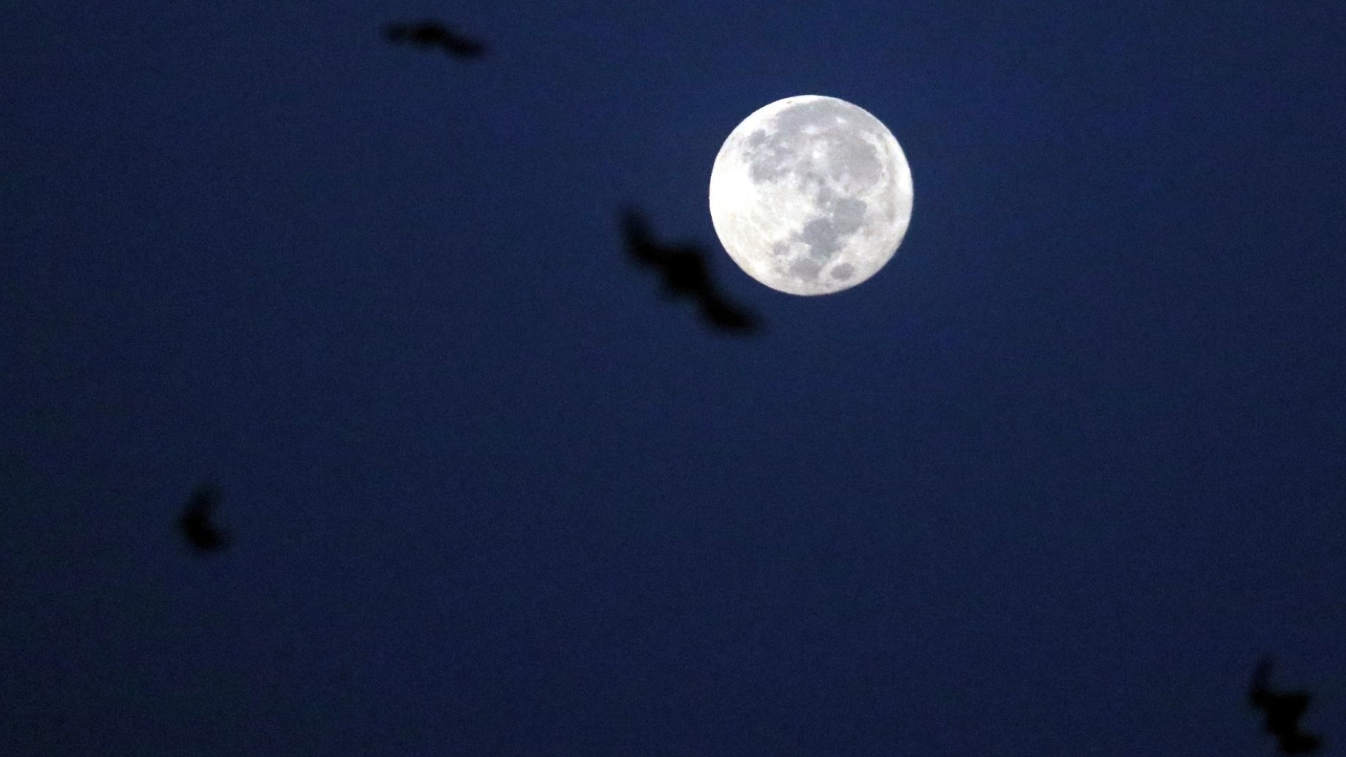 ¿A Qué Hora es el Punto Máximo para Ver la Superluna Hoy Miércoles 5 Noviembre 2025 en México?
