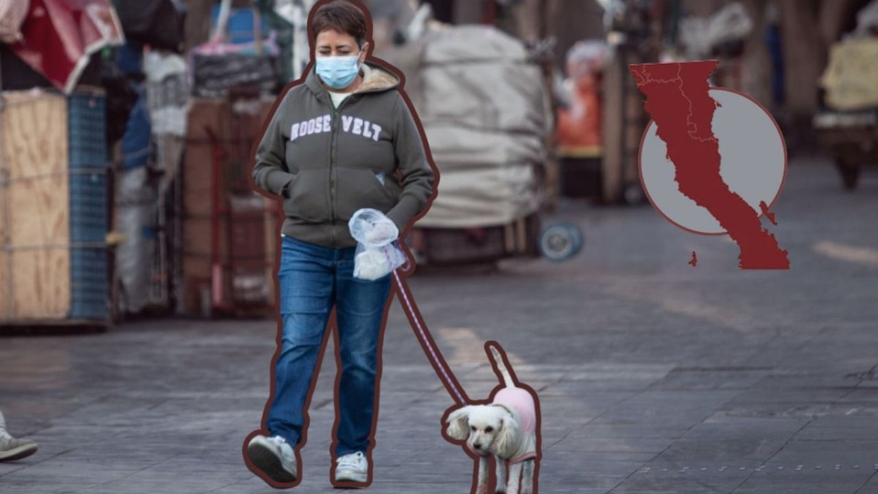 Pronóstico del clima en Baja California este lunes 8 de diciembre, temperaturas de hasta -5 ºC