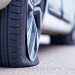 ¿Qué castigo darìan al chofer de la ruta Playa Norte que atropelló a un perro en Tamaulipas?