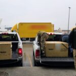 Profepa coordina transporte de tortugas aseguradas en el aeropuerto de Tijuana