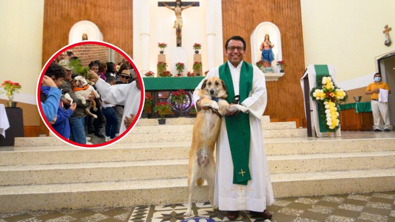 ¿Por qué las iglesias se llenaron de perritos y gatos? La emotiva razón detrás de la bendición de cientos de mascotas | VIDEO