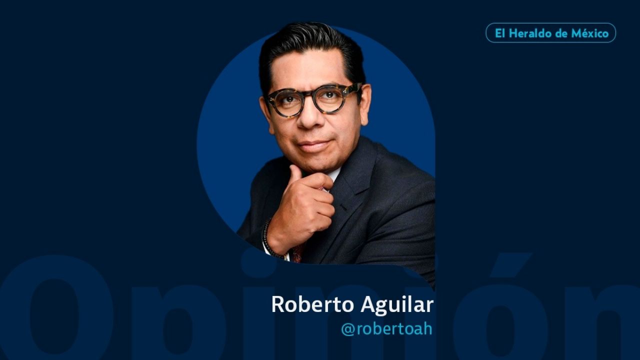 Proteak: madera que se dobla, pero no se rompe