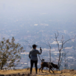 ¿Regresará el Doble Hoy No Circula? Esta es la calidad del aire en CDMX y Edomex HOY 18 de febrero