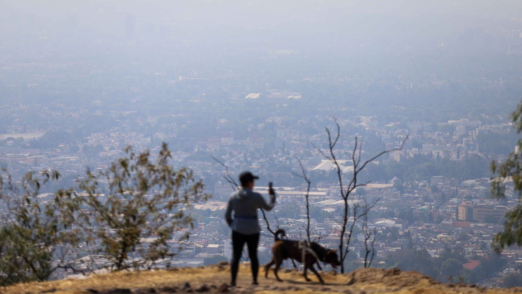 ¿Regresará el Doble Hoy No Circula? Esta es la calidad del aire en CDMX y Edomex HOY 18 de febrero