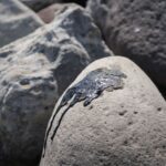 Chapopoteras en el Golfo de México: ¿Qué son y cómo contribuyeron al derrame de hidrocarburos?