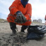 Recolectan más de 825 toneladas de hidrocarburos por derrame en costas del Golfo de México