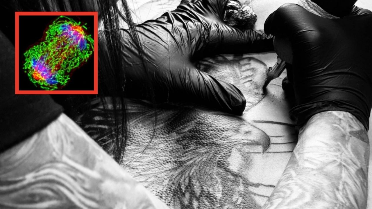 Vinculan tatuajes con mayor posibilidad de desarrollar distintos tipos de cáncer