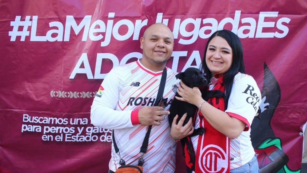 La Mejor Jugada es Adoptar: llevarán adopción de perros y gatos al México vs Serbia en Edomex