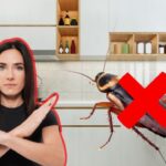 ¿Cómo ahuyentar las cucarachas de tu casa aprovechando su mayor debilidad? El truco que si funciona