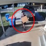 Repartidor evita ataque de perro tras arrojarle una caja; segundos después protagoniza pelea con dueño | VIDEO